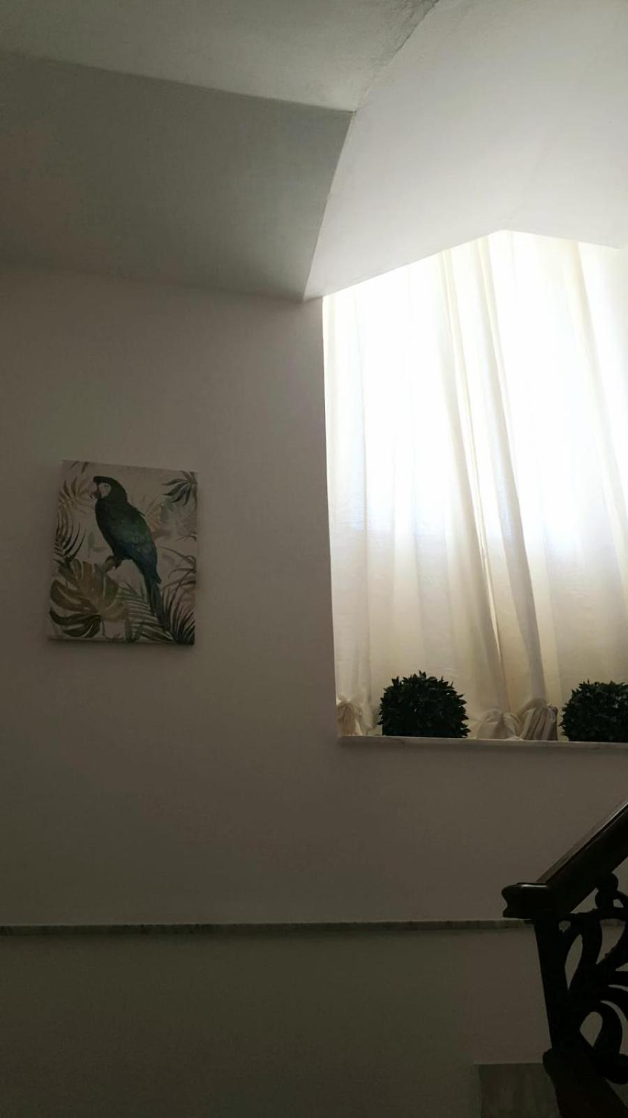 נוטו Mia'S Rooms מראה חיצוני תמונה
